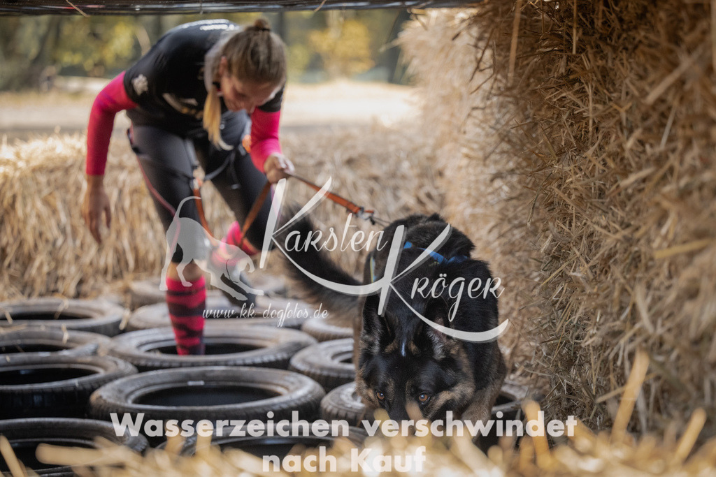 1049_ZZ99321 | kk-dogfotos