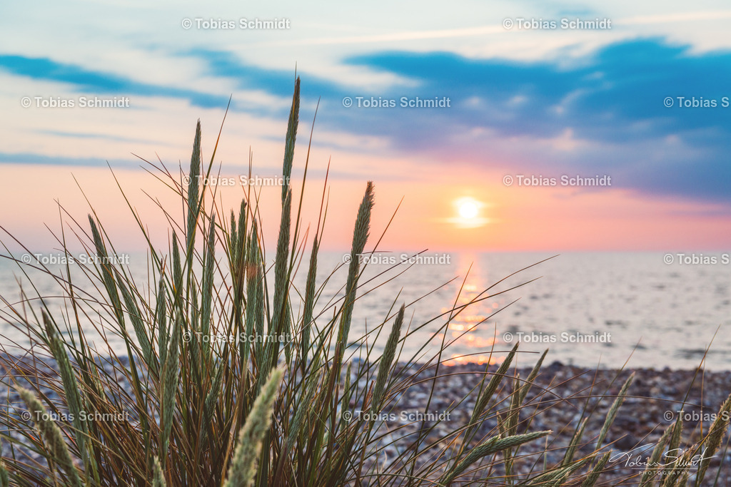 Fehmarn__DSC1510 | Fotoprodukte, Kalender und Wanddeko direkt vom Fotografen auf Fehmarn. Ob Wandbild auf Alu-Dibond, hinter Acrylglas oder auf Leinwand – hier können Sie Ihr Lieblingsbild kaufen. - Realisiert mit Pictrs.com
