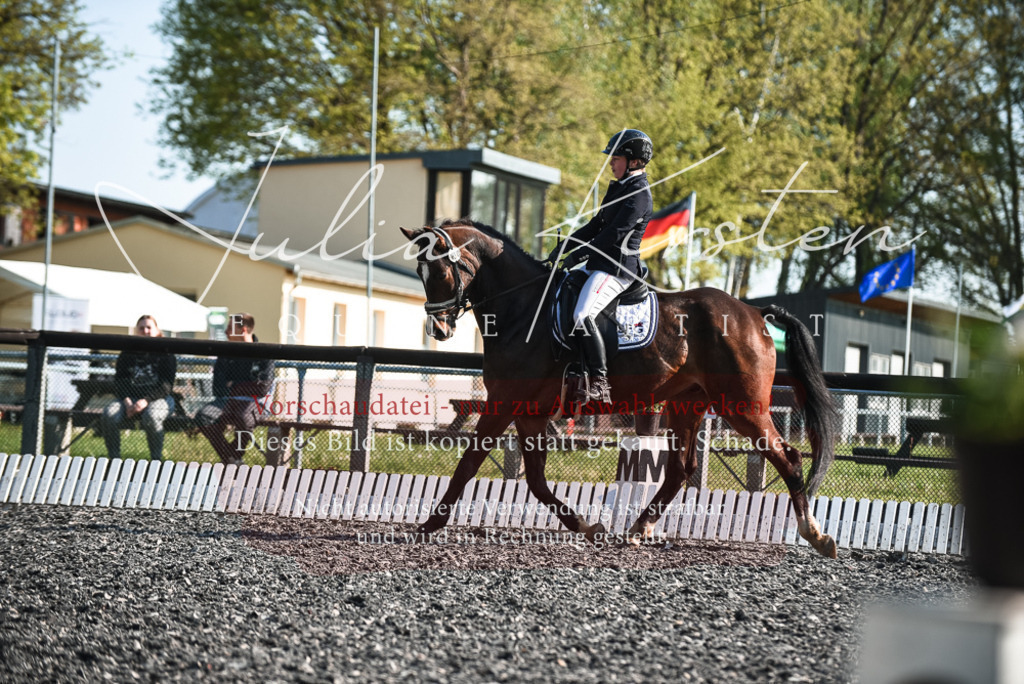 DSC_8292 | Pferde- und Turnierfotografie in Westsachsen. Pferdeportraits, Auftragszeichnungen und intuitive Kunst.
