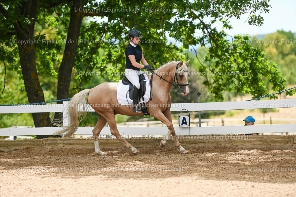 20230715_09_Dressur-WB_0531 | equistock