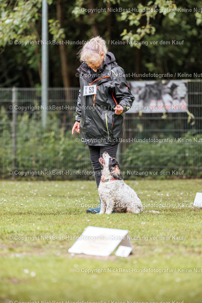 RO-Blumenthal-2026-Nickbest-Hundefotografie-0937 | Dein Hund! Dein Moment! Deine Erinnerungen! Hundefotografie in Bremen Blumenthal. Ich fange die besonderen Momente deines Vierbeiners ein – ob Indoor mit Blitzanlage oder in der freien Natur. Sicher dir dein Moment und dein Termin für eure Erinnerungen.