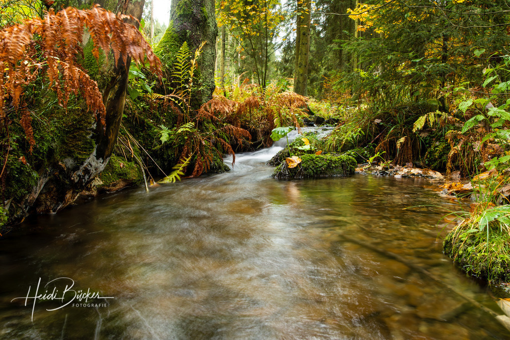 Hartmecke bei Oberkirchen | Hartmecke im Hartmecketal bei Oberkirchen im Schmallenberger Sauerland - Realisiert mit Pictrs.com