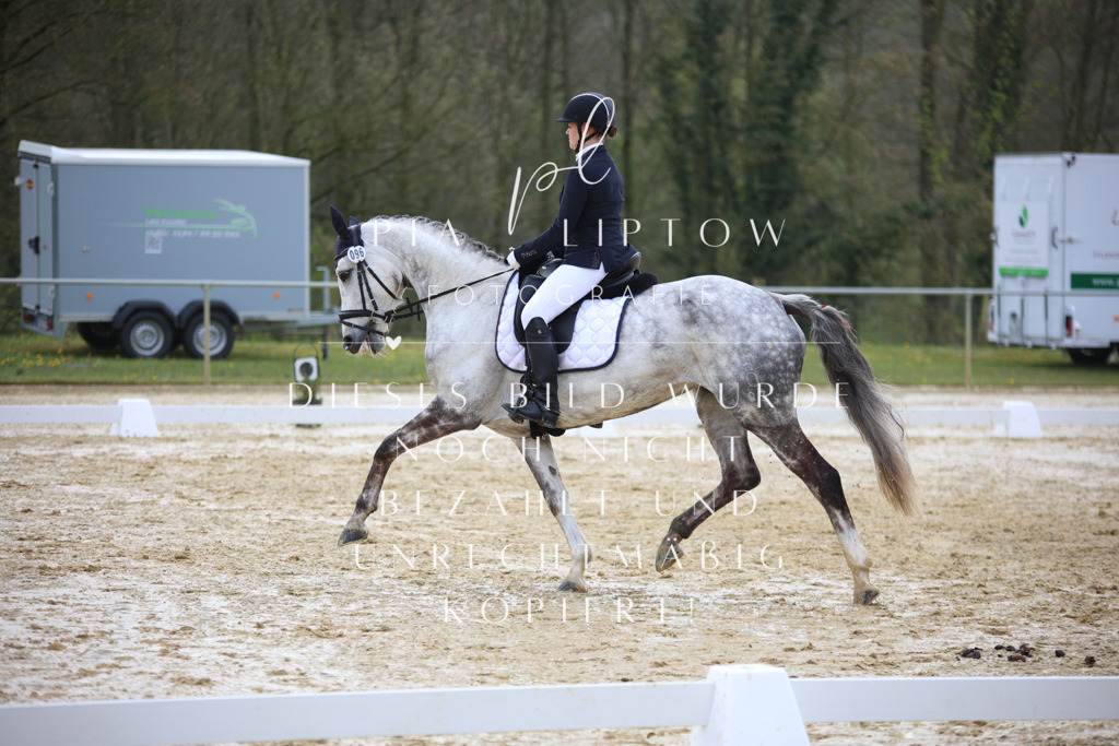 IMGT2888 | pl-fotografie