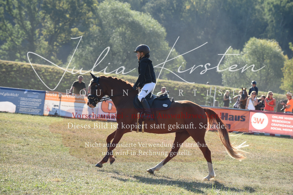 DSC_5687 | Pferde- und Turnierfotografie in Westsachsen. Pferdeportraits, Auftragszeichnungen und intuitive Kunst.
