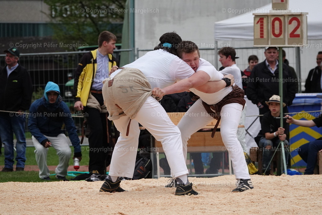 DSC03198 | Schwingen - Realisiert mit Pictrs.com