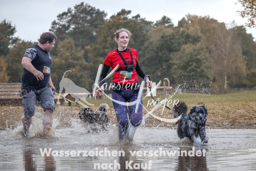 1343_ZZ94667 | kk-dogfotos