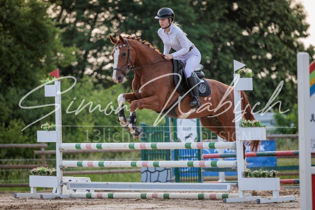 20260529-_3LI1438 | Tierfotografie Pferde, Hunde, Katzen, Haustiere.
Turnierfotografie Reitturniere, Reiten, Springreiten, Dressur in Hanau, dem Main-Kinzig-Kreis und dem Rhein-Main- Gebiet um Frankfurt