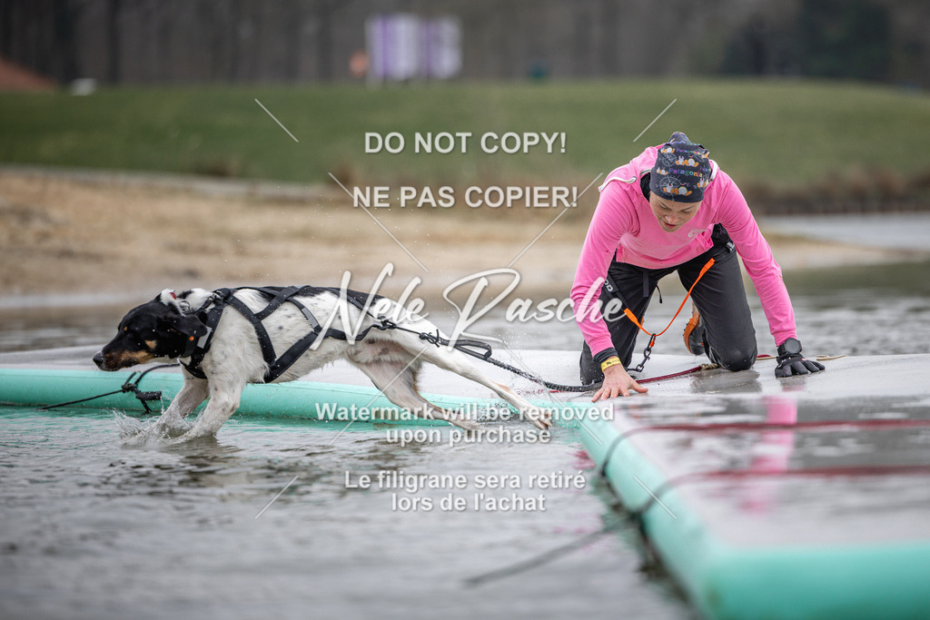 nelerasche_Hulsbeek_Sa1230-1330_421 | nelerasche