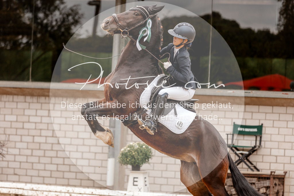 3I6A7971 | Stimmungsvolle Portraits und Reitsportfotografie im Ruhrgebiet und im Münsterland.

Pferdefotografie, Hundefotografie, Tierfotografie, Reportagen, Portraits von Tier und Mensch, Turnierfotografie in Bochum, Recklinghausen, Marl, Haltern am See, Dülmen.. - Realisiert mit Pictrs.com