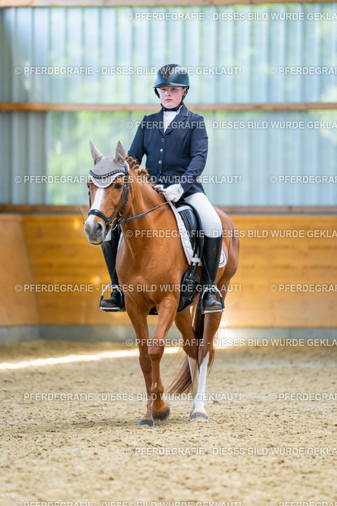 DSC08687 | Pferdegrafie