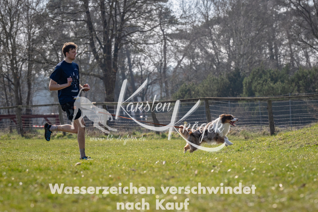 _ZZ91376 | kk-dogfotos