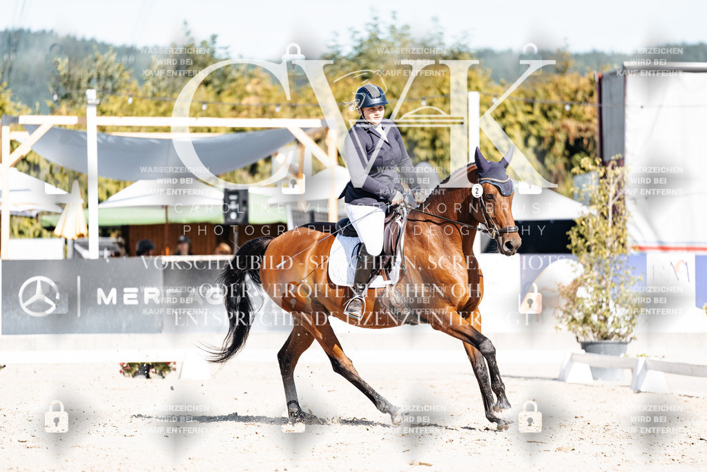 CK908036 | Turnierfotografie Pferdefotografie Trier Rheinland-Pfalz Pferdesport Reitsport Tierfotografie Sportfotografie Pferdevideo Pferdevideografie Equestrianvideography equestrianphotography  - Realisiert mit Pictrs.com