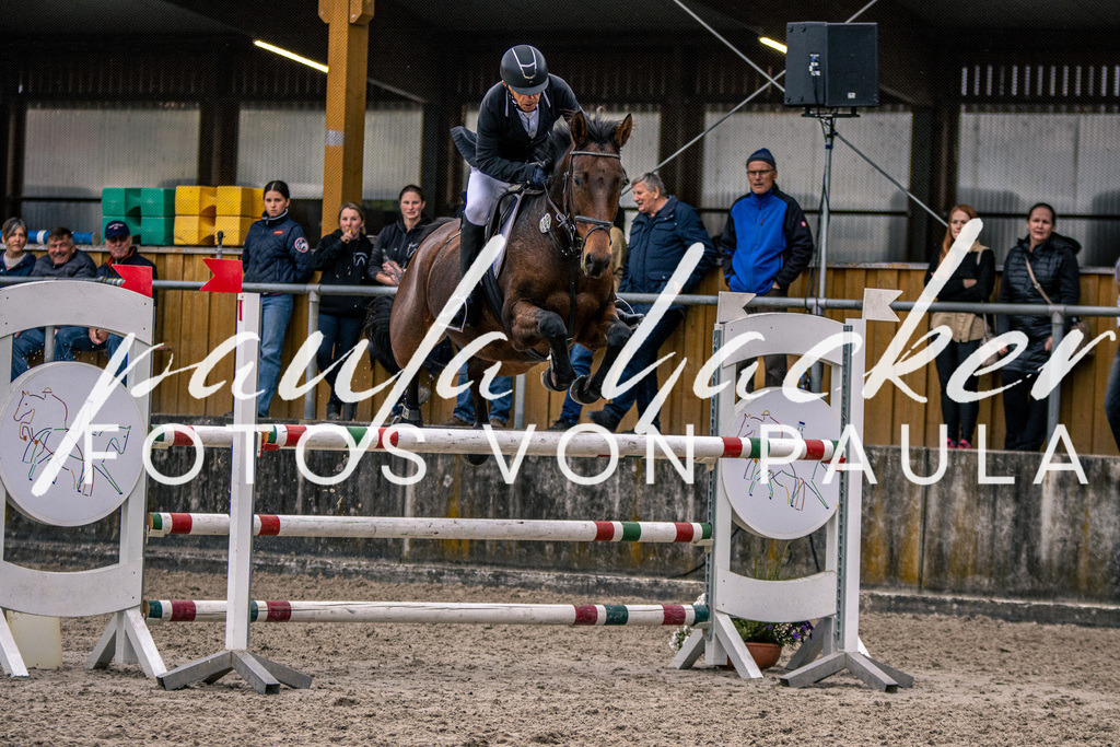 IMG_6152 | Erleben Sie dynamische Sport- und emotionale Tierfotografie in Süddeutschland mit Fotos von Paula. Spezialisiert auf Pferde- und Hundefotografie sowie Sportevents. Kontaktieren Sie mich für einzigartige und ausdrucksstarke Bilder Ihrer besonderen Momente.