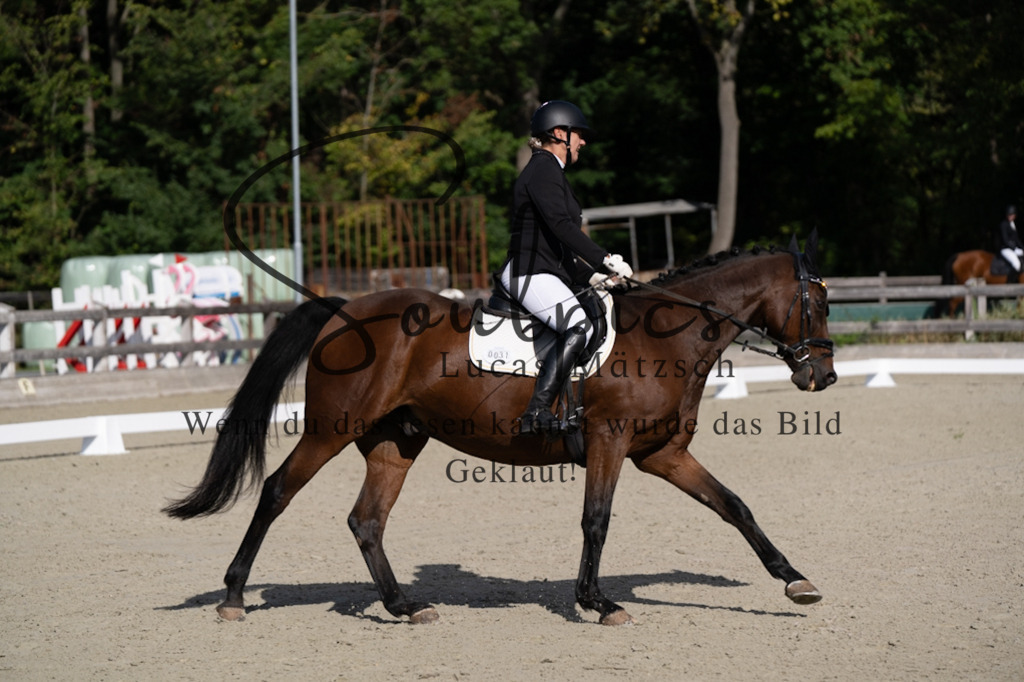A7V06937 | Turnier/Reitfotograf