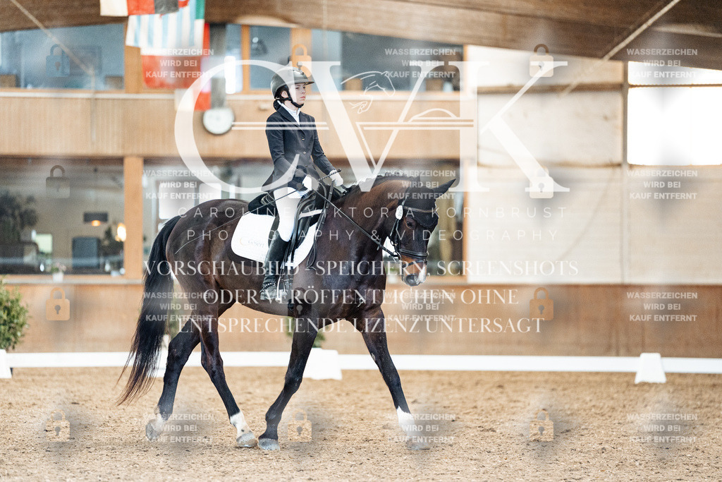 CK909831 | Turnierfotografie Pferdefotografie Trier Rheinland-Pfalz Pferdesport Reitsport Tierfotografie Sportfotografie Pferdevideo Pferdevideografie Equestrianvideography equestrianphotography  - Realisiert mit Pictrs.com