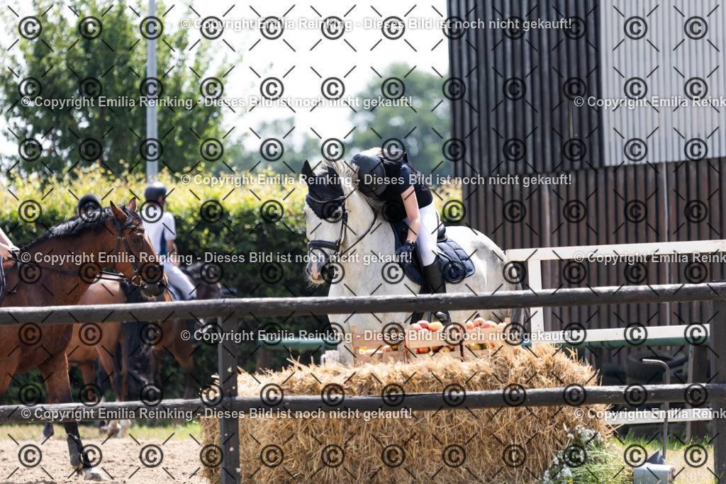 CL5A6940 | Emilia Reinking Fotografie - Realisiert mit Pictrs.com