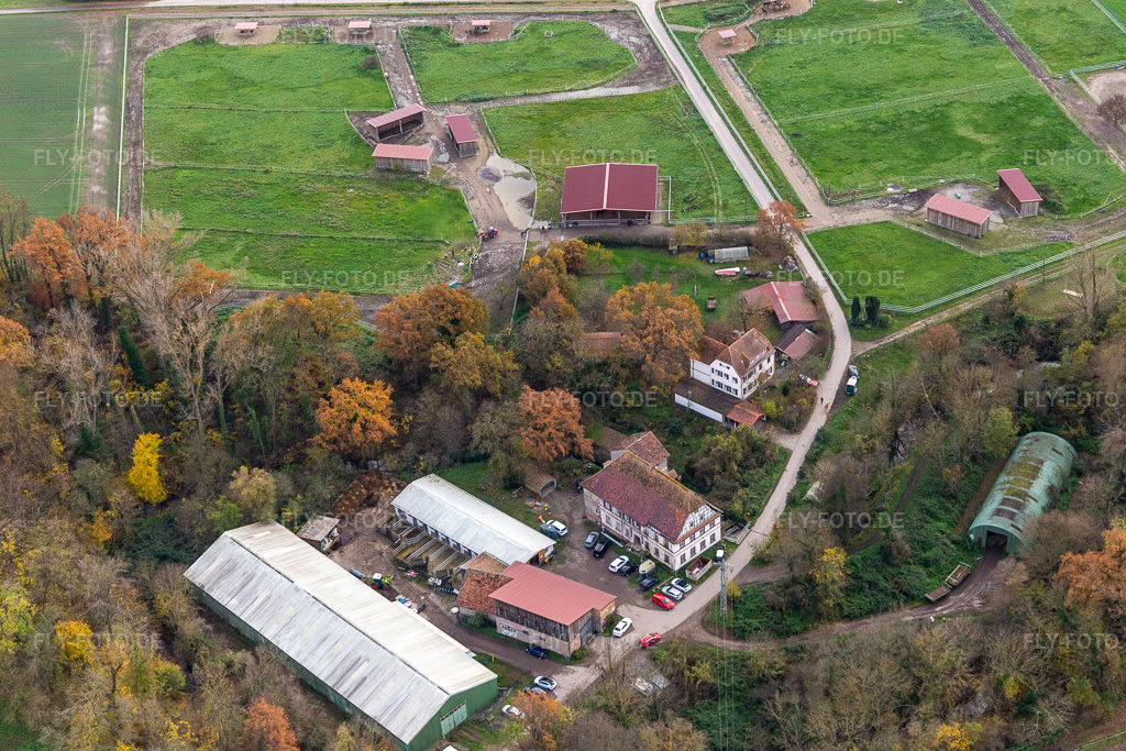 Luftbild: Wanzheimer Mühle in Rheinzabern im Bundesland Rheinland-Pfalz in Deutschland. Foto: IMG_135267.jpg vom 26.11.2022 durch Werner Riehm/FLY-FOTO.de