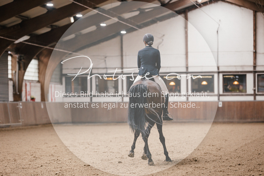 3I6A8778 | Stimmungsvolle Portraits und Reitsportfotografie im Ruhrgebiet und im Münsterland.

Pferdefotografie, Hundefotografie, Tierfotografie, Reportagen, Portraits von Tier und Mensch, Turnierfotografie in Bochum, Recklinghausen, Marl, Haltern am See, Dülmen.. - Realisiert mit Pictrs.com