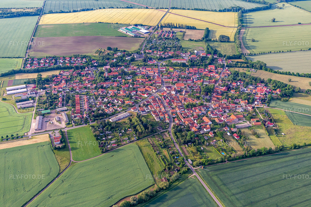 Luftbild: Ortsansicht der Straßen und Häuser der Wohngebiete in Molschleben im Bundesland Thüringen in Deutschland. Foto: IMG_007655.jpg vom 15.06.2021 durch Werner Riehm/FLY-FOTO.de