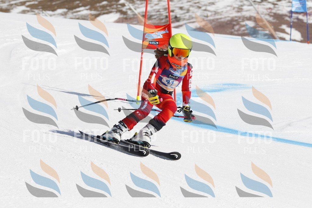 _U3G9253 | holidayphoto