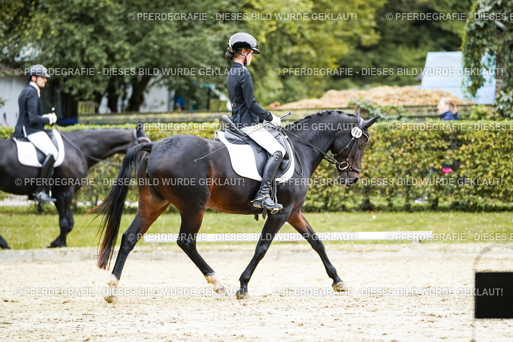 DSC09488 | Pferdegrafie