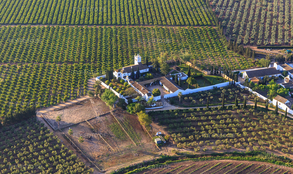 Luftbild: Hacienda de Clarevot zwischen Olivenbaumplantagen in Alcalá de Guadaíra im Bundesland Sevilla in Spanien. Foto: IMG_145719.jpg vom 22.04.2025 durch Werner Riehm/FLY-FOTO.dehaciendadeclarevot.com