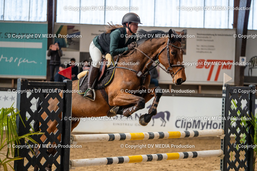 Kranichstein Tag 2-340 | dv-media-shop - Realisiert mit Pictrs.com