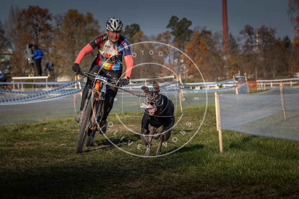 CaniXpix_0L8A6643 | Hundefotografie, Tierfotograf, Pfotenfotografie, Fotoshooting Hund, Hunde Portrait, Hundesport, Hundeportraits, Heideshooting, Hunde, Sportfotograf, Hundefotograf, Turnierhundsport, THS,  - Realisiert mit Pictrs.com