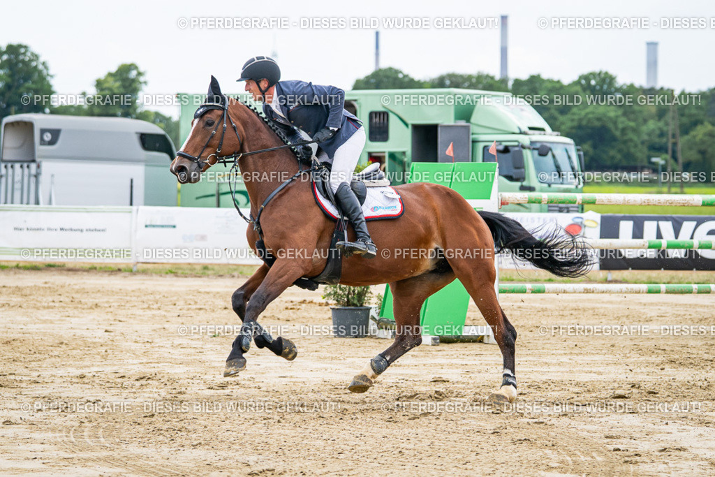 DSC07011 | Pferdegrafie