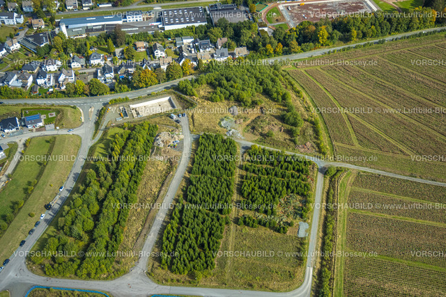 Bestwig220901869 | Luftbild, Weihnachtsbaumanbau, Bestwig, Ruhrgebiet, Nordrhein-Westfalen, Deutschland