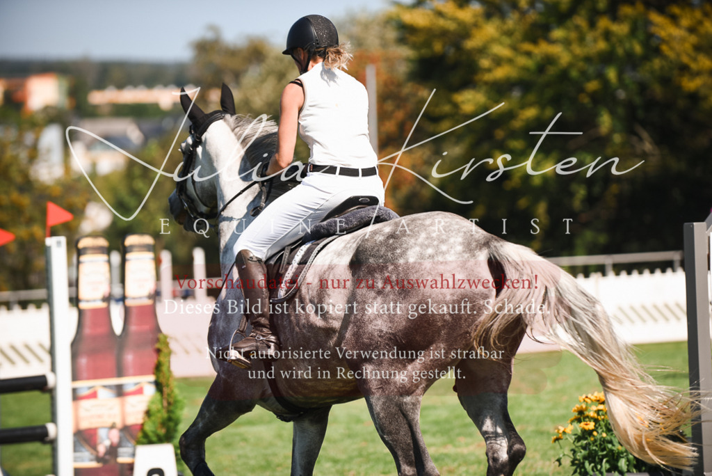 DSC_2734 | Pferde- und Turnierfotografie in Westsachsen. Pferdeportraits, Auftragszeichnungen und intuitive Kunst.