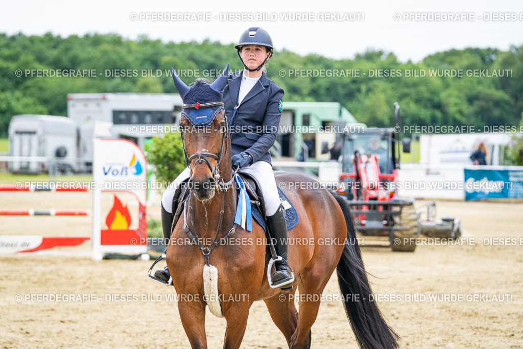 DSC06513 | Pferdegrafie