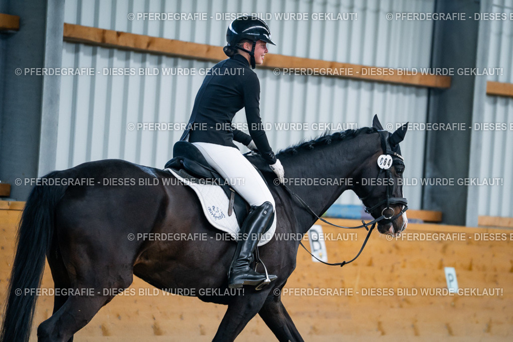 DSC05996 | Pferdegrafie