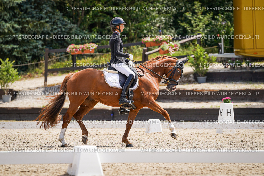 DSC00691 | Pferdegrafie