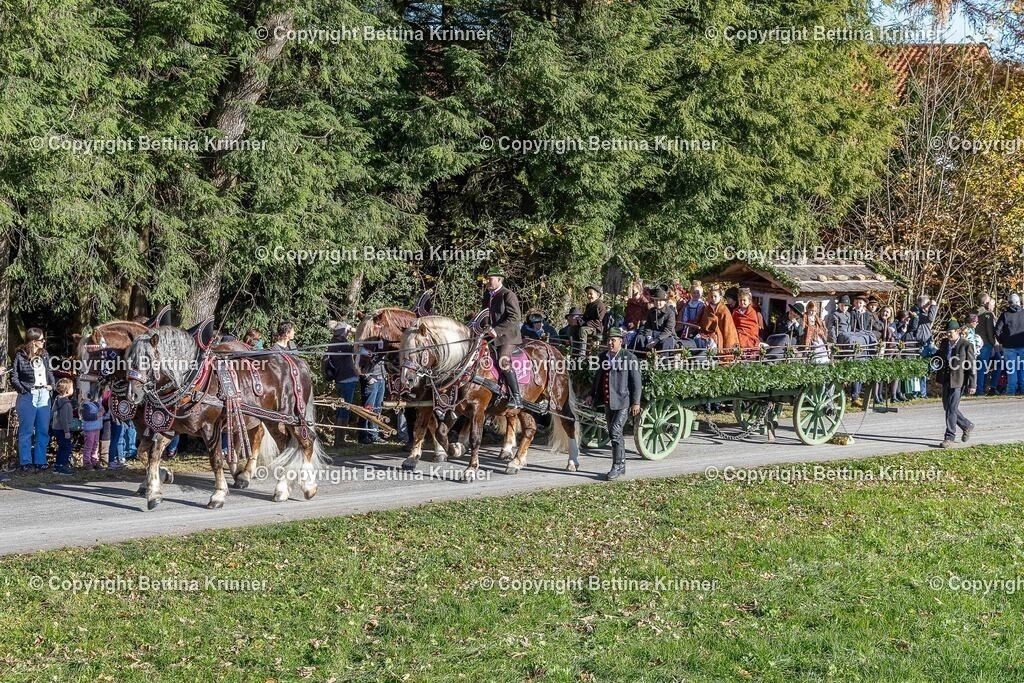 LBT25-390 | foto-bettina-krinner - Realisiert mit Pictrs.com