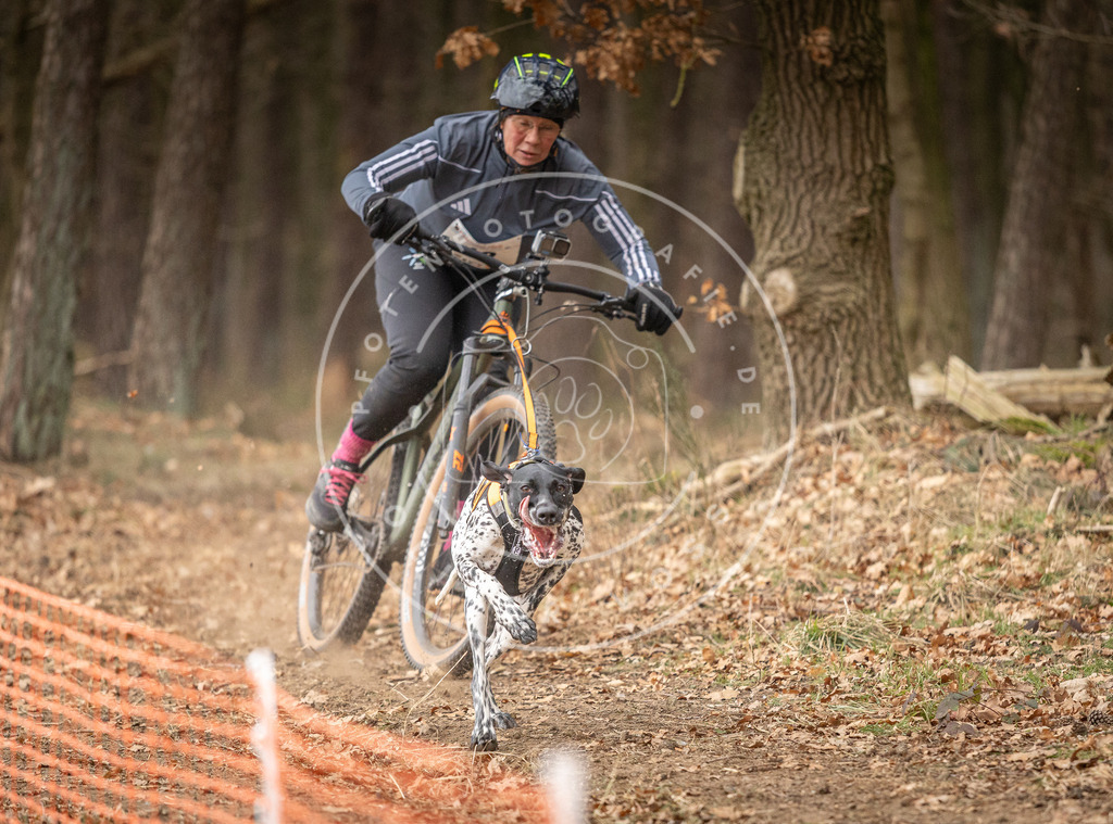 Pfotenfotografie_DV3A2783 | Hundefotografie, Tierfotograf, Pfotenfotografie, Fotoshooting Hund, Hunde Portrait, Hundesport, Hundeportraits, Heideshooting, Hunde, Sportfotograf, Hundefotograf, Turnierhundsport, THS,  - Realisiert mit Pictrs.com