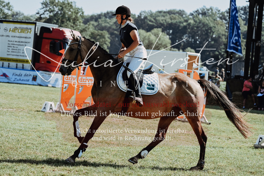DSC_5938 | Pferde- und Turnierfotografie in Westsachsen. Pferdeportraits, Auftragszeichnungen und intuitive Kunst.