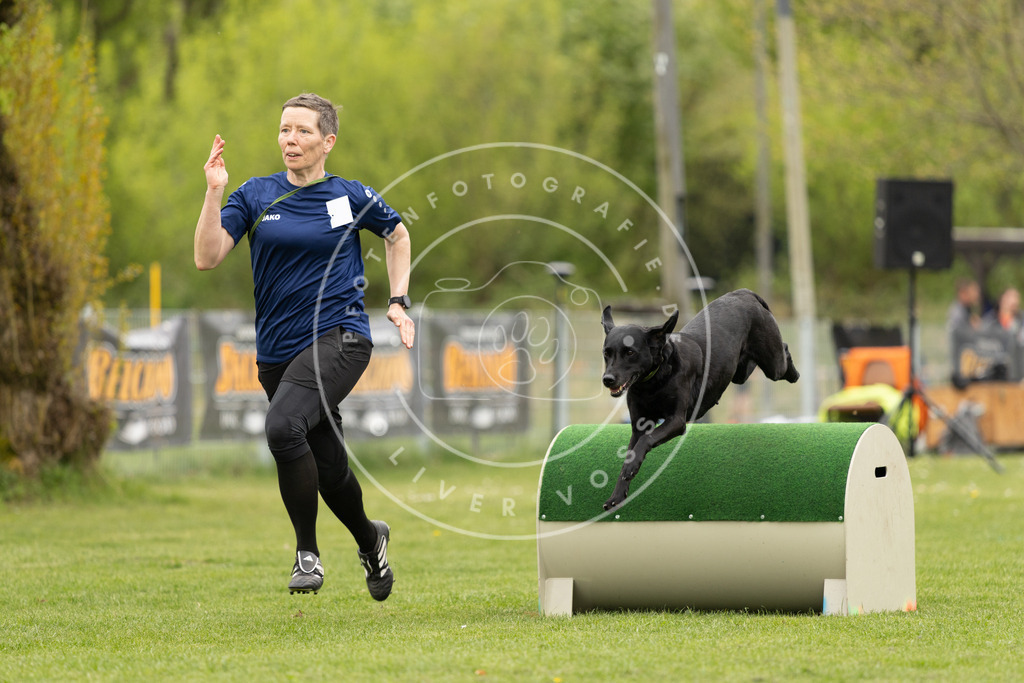 Pfotenfotografie_DV3A9216 | Hundefotografie, Tierfotograf, Pfotenfotografie, Fotoshooting Hund, Hunde Portrait, Hundesport, Hundeportraits, Heideshooting, Hunde, Sportfotograf, Hundefotograf, Turnierhundsport, THS,  - Realisiert mit Pictrs.com