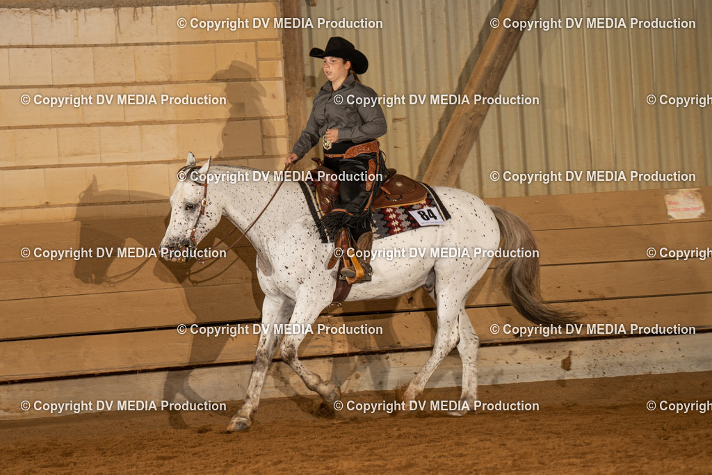 NID01519 | dv-media-shop - Realisiert mit Pictrs.com