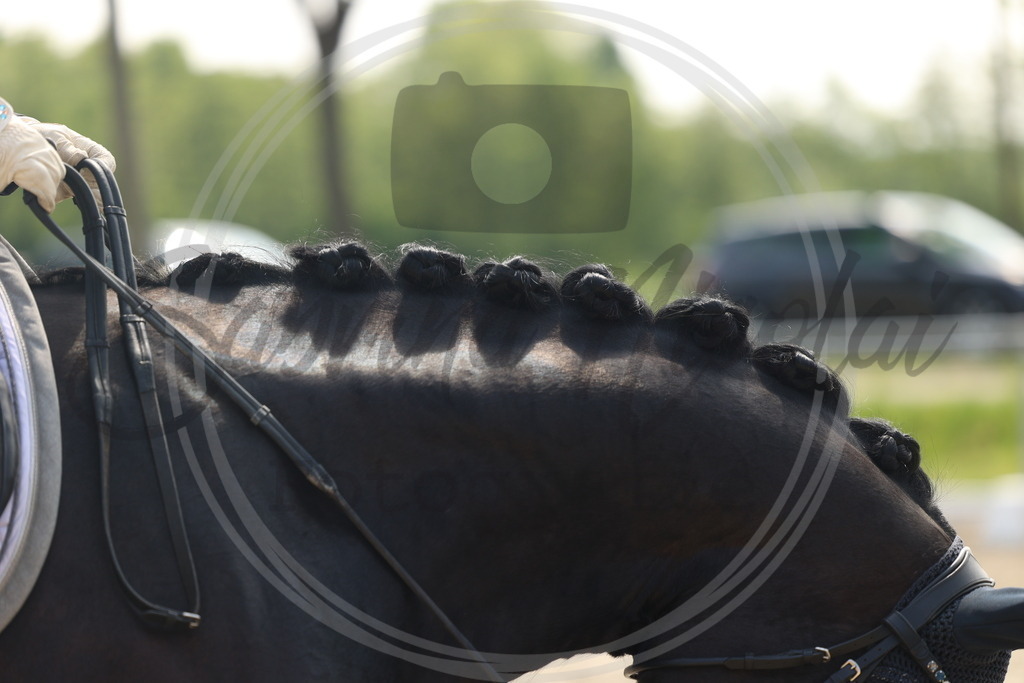 994A6611 | sabrinanicolaifotografie - Realisiert mit Pictrs.com