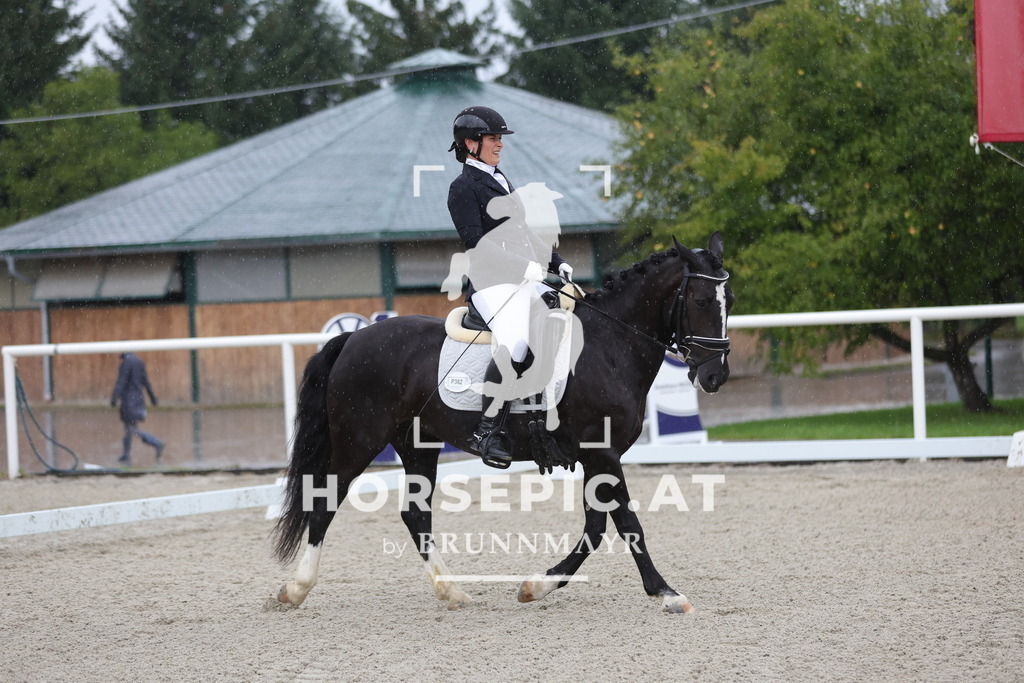 0P6A0973 | Willkommen bei Brunnmayr - Design & Fotografie – Ihrem Spezialisten für Reitturniere und Pferdeveranstaltungen in Oberösterreich, Salzburg und Bayern! Seit über 17 Jahren sind wir leidenschaftlich dabei.