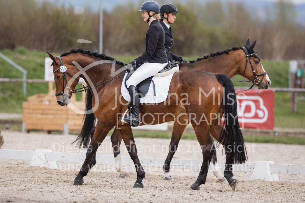 230410_Frühlingsfest_DressurWBA2-329 | Deine schönsten Turniermomente als professionelle Fotos! Entdecke hochwertige Pferdesport-Fotografie im Online-Shop. Jetzt Fotos finden & bestellen!