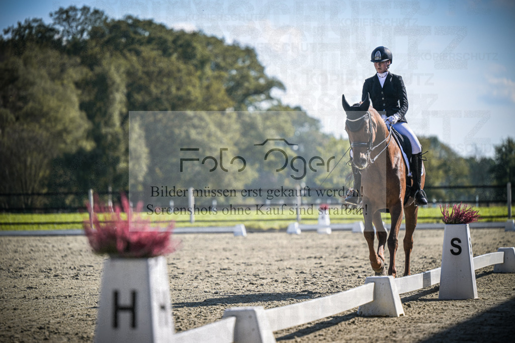 DOS_3016 | Entdecke hochwertige Reitturnierfotos von Foto Oger. Professionell, emotional und authentisch – jetzt Lieblingsmomente im Shop bestellen.Deutschlandweite Turnierfotografie. - Realisiert mit Pictrs.com