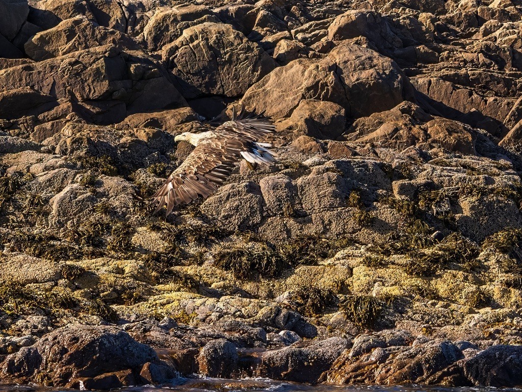 P1001654-LR-topaz-denoise-enhance | Natur im Moment - Realisiert mit Pictrs.com