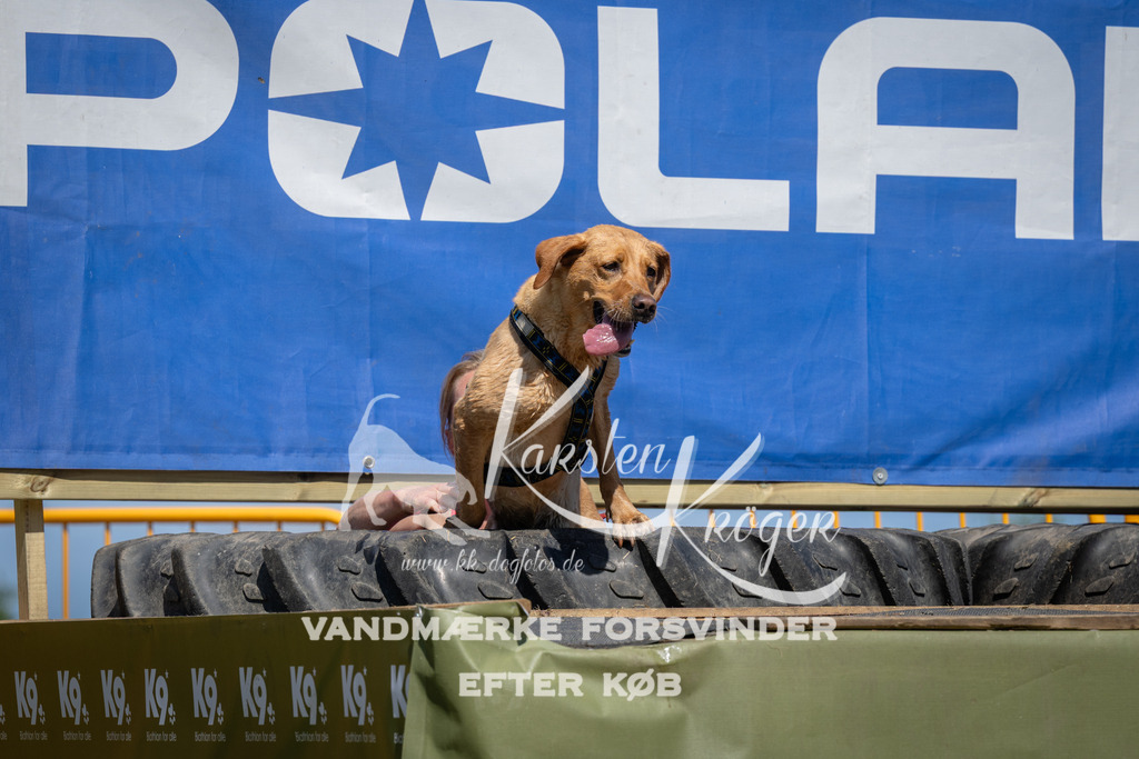 1342_ZZ99117 | kk-dogfotos