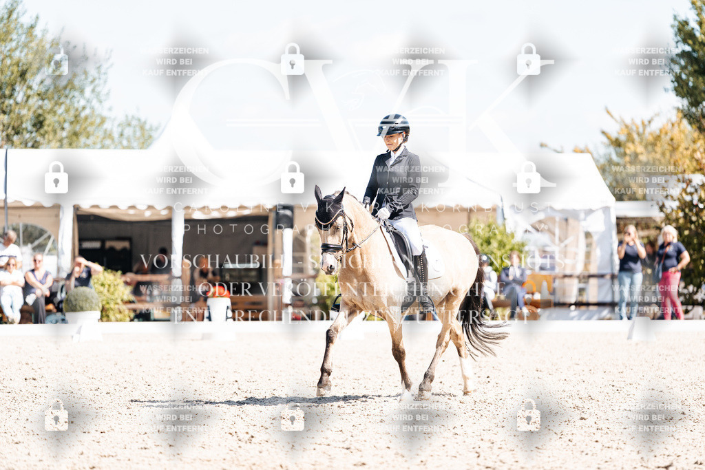 CK903795 | Turnierfotografie Pferdefotografie Trier Rheinland-Pfalz Pferdesport Reitsport Tierfotografie Sportfotografie Pferdevideo Pferdevideografie Equestrianvideography equestrianphotography  - Realisiert mit Pictrs.com