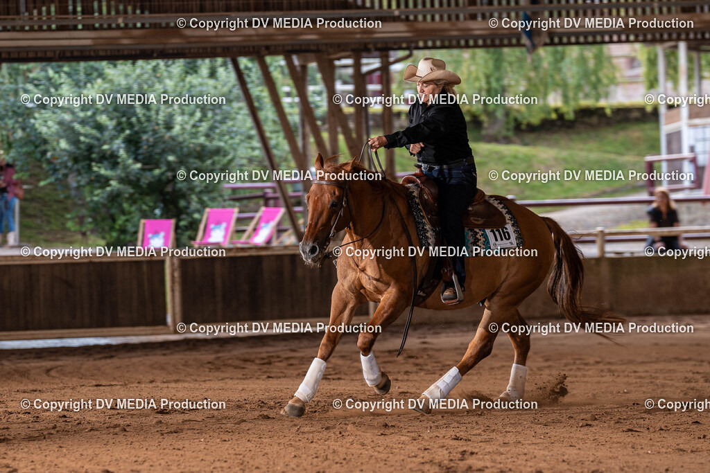 Erbach Tag 2-1122 | dv-media-shop - Realisiert mit Pictrs.com