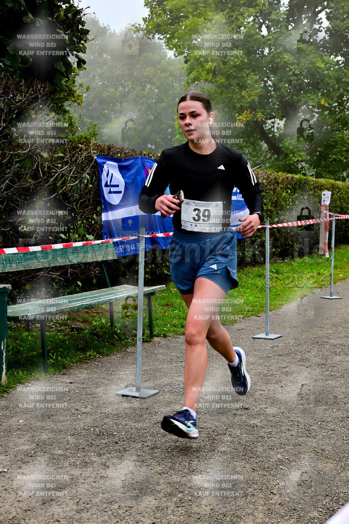 Z8N_2088 | la-psv - Realisiert mit Pictrs.com