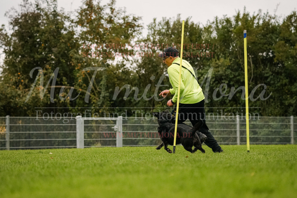 20251005_THS_Turnier-453 | MuT (Mensch und Tier) mit Mona - Fotografie und Tierkommunikation - Realisiert mit Pictrs.com