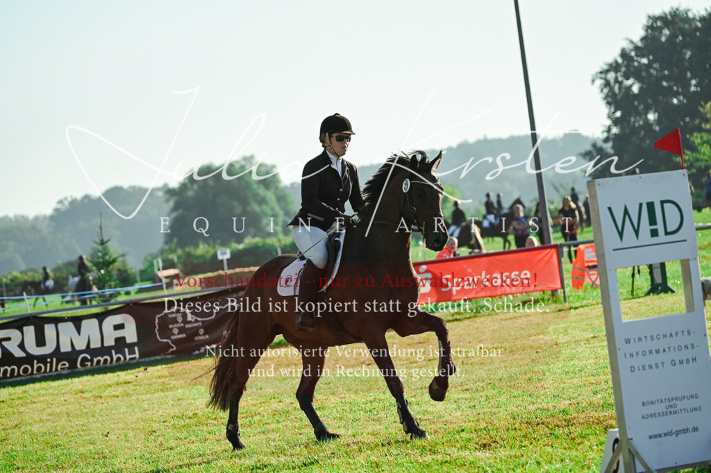 DSC_4369 | Pferde- und Turnierfotografie in Westsachsen. Pferdeportraits, Auftragszeichnungen und intuitive Kunst.